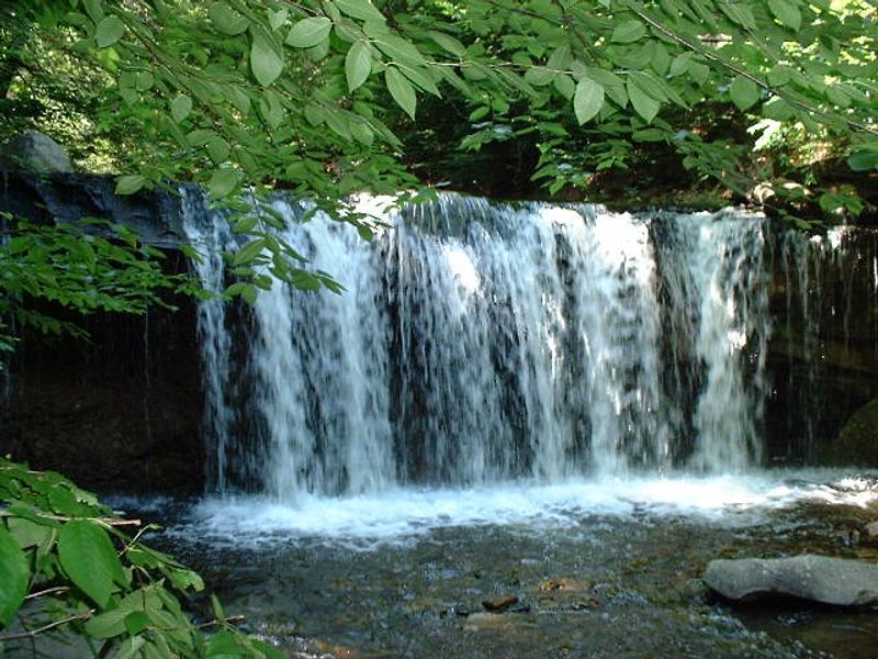 Ricketts Glen State Park (Ganoga Falls)
