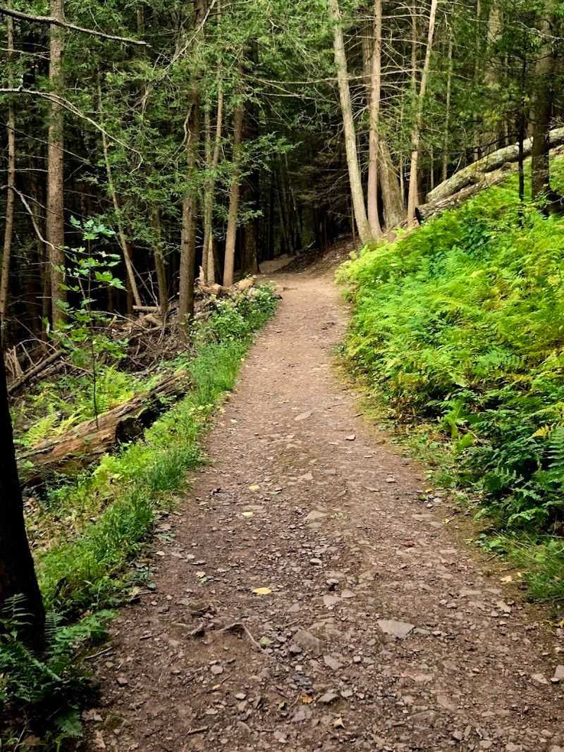 Turkey Path Trail