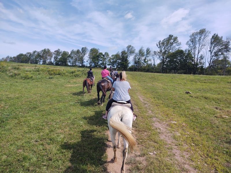Happy Trails Stables (Waymart, Pocono Mountains)