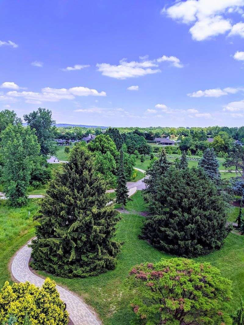 Conservation Corner: Native Ohio Ecosystems
