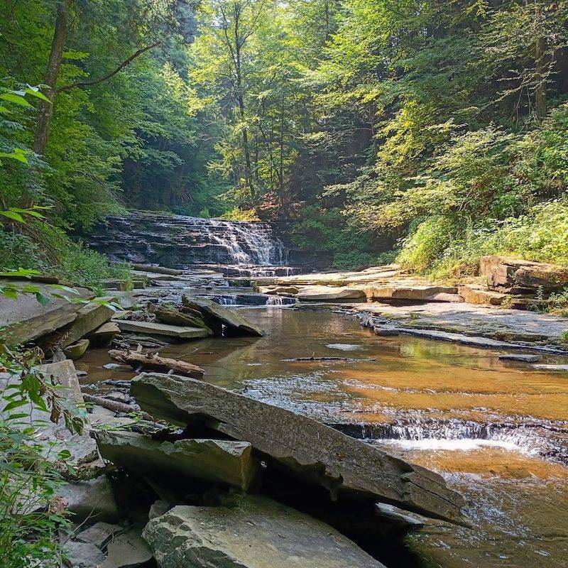 Fall Brook Falls - Salt Springs State Park