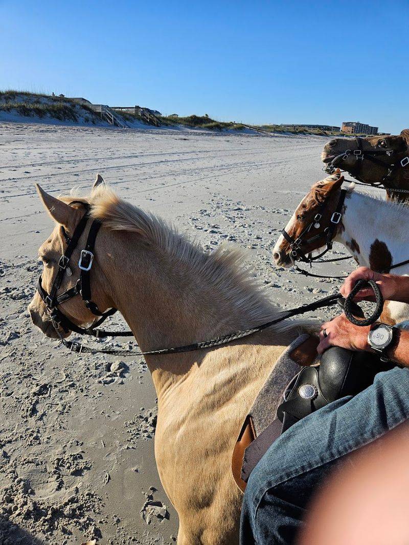 Amelia Island Horseback Riding &mdash; Fernandina Beach, Florida