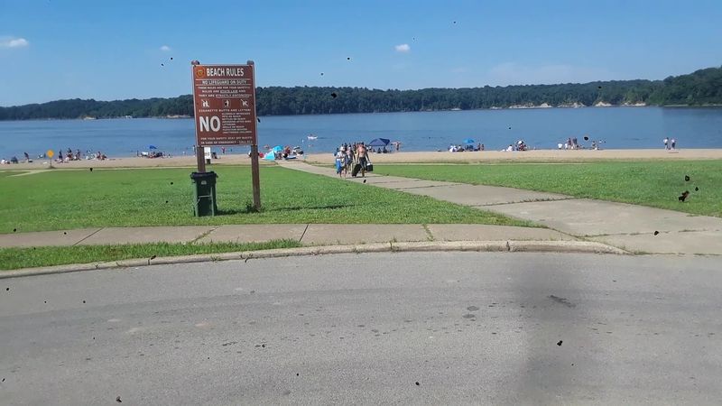 East Fork State Park