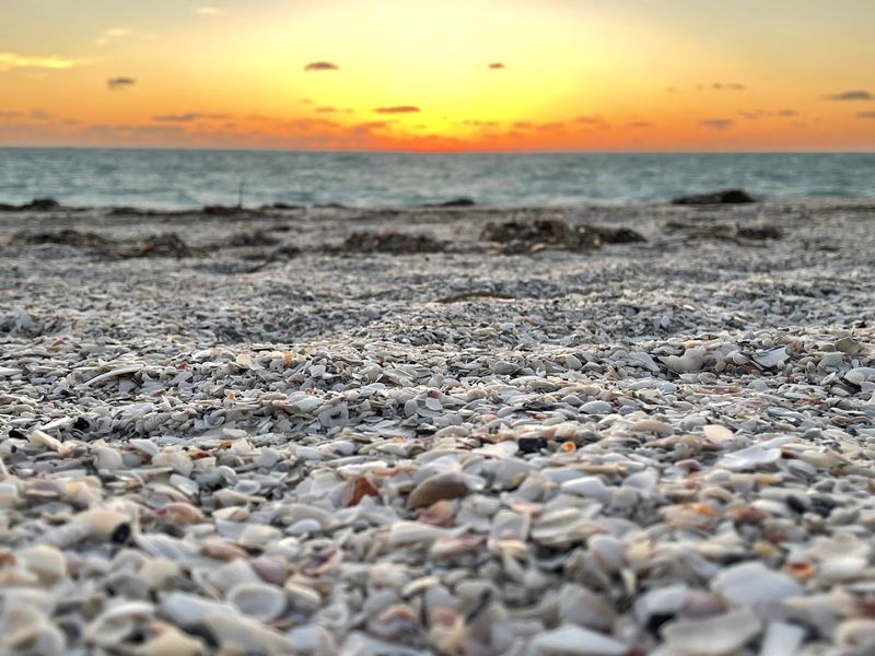 Cayo Costa State Park (Cayo Costa)