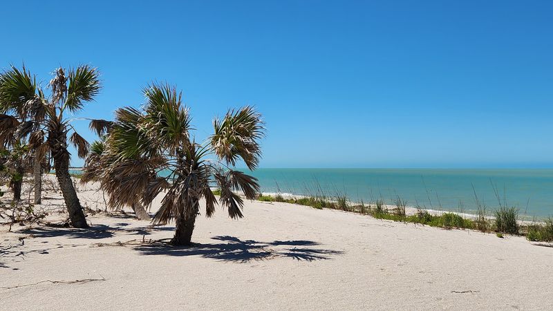 Cayo Costa State Park (near Fort Myers)