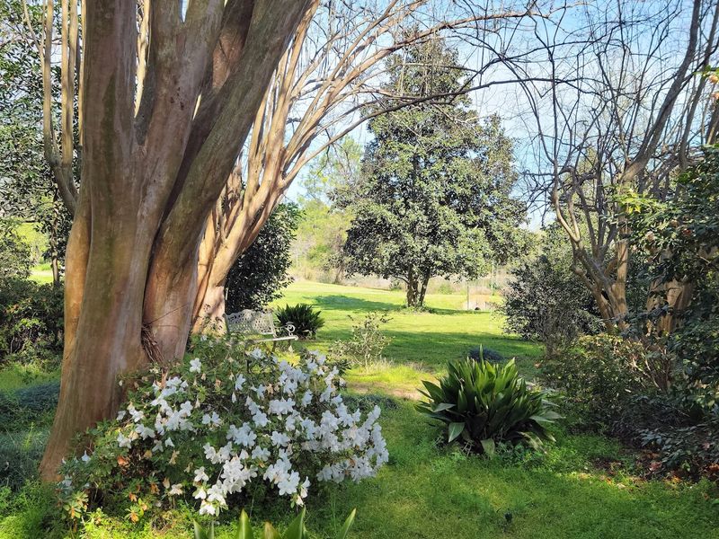 Massee Lane Gardens 