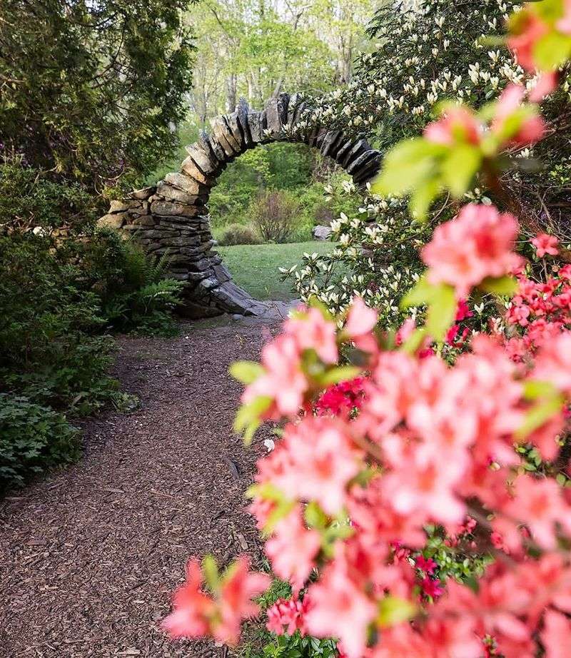 Kinney Azalea Gardens (North Georgia)