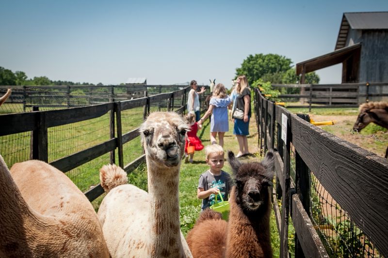 Hands-On Animal Encounters That Kids Remember