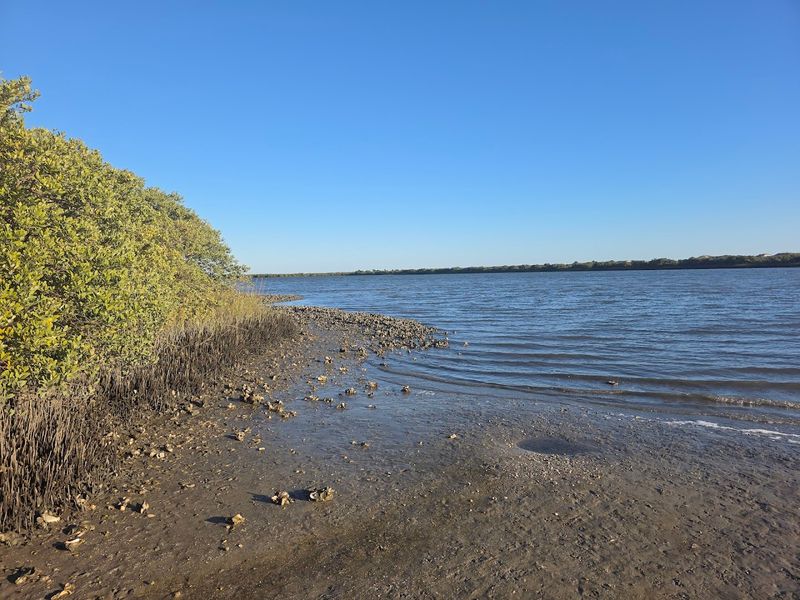 Fishing Opportunities Along The Coastline