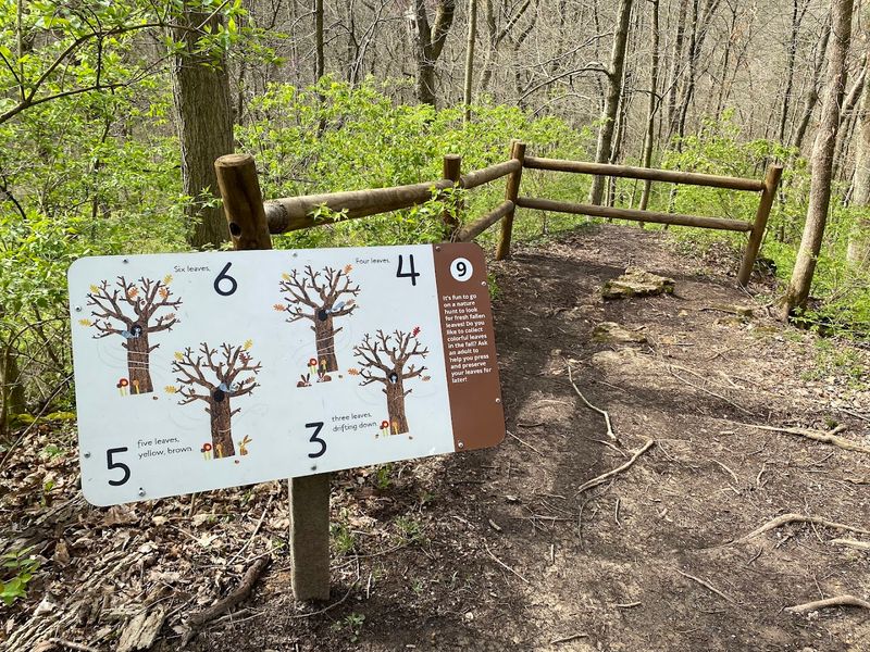 Families Get More Than Just A Pretty Hike