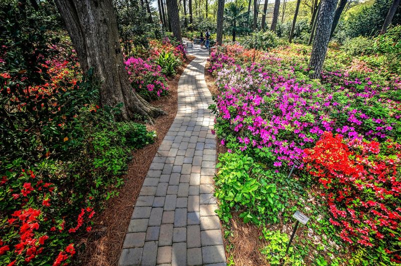 WRAL Azalea Gardens &mdash; Raleigh