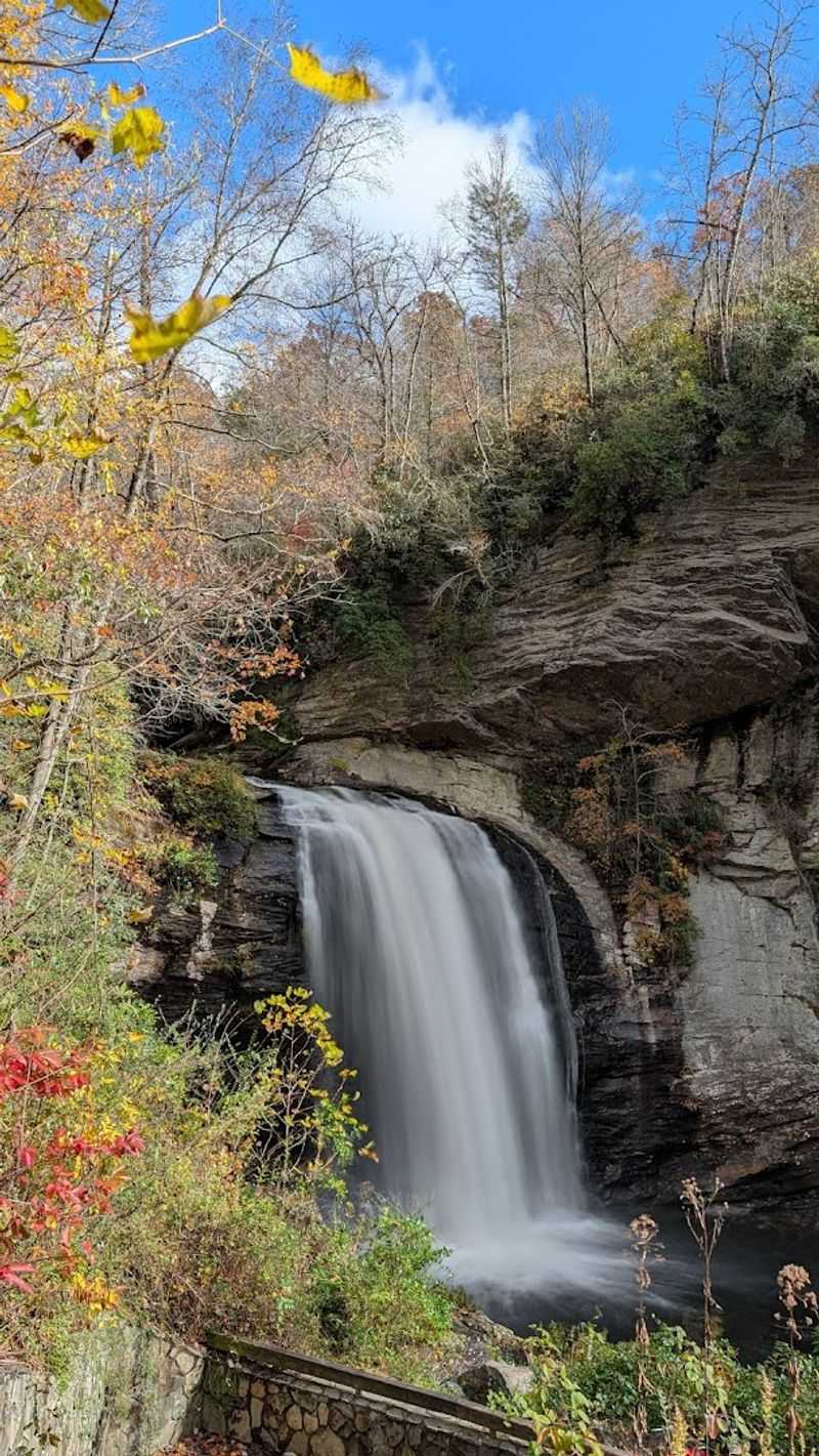 Looking Glass Falls (A Forest Waterfall Scene)