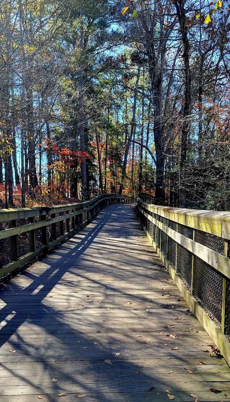 Neuse River Greenway Forest Sections