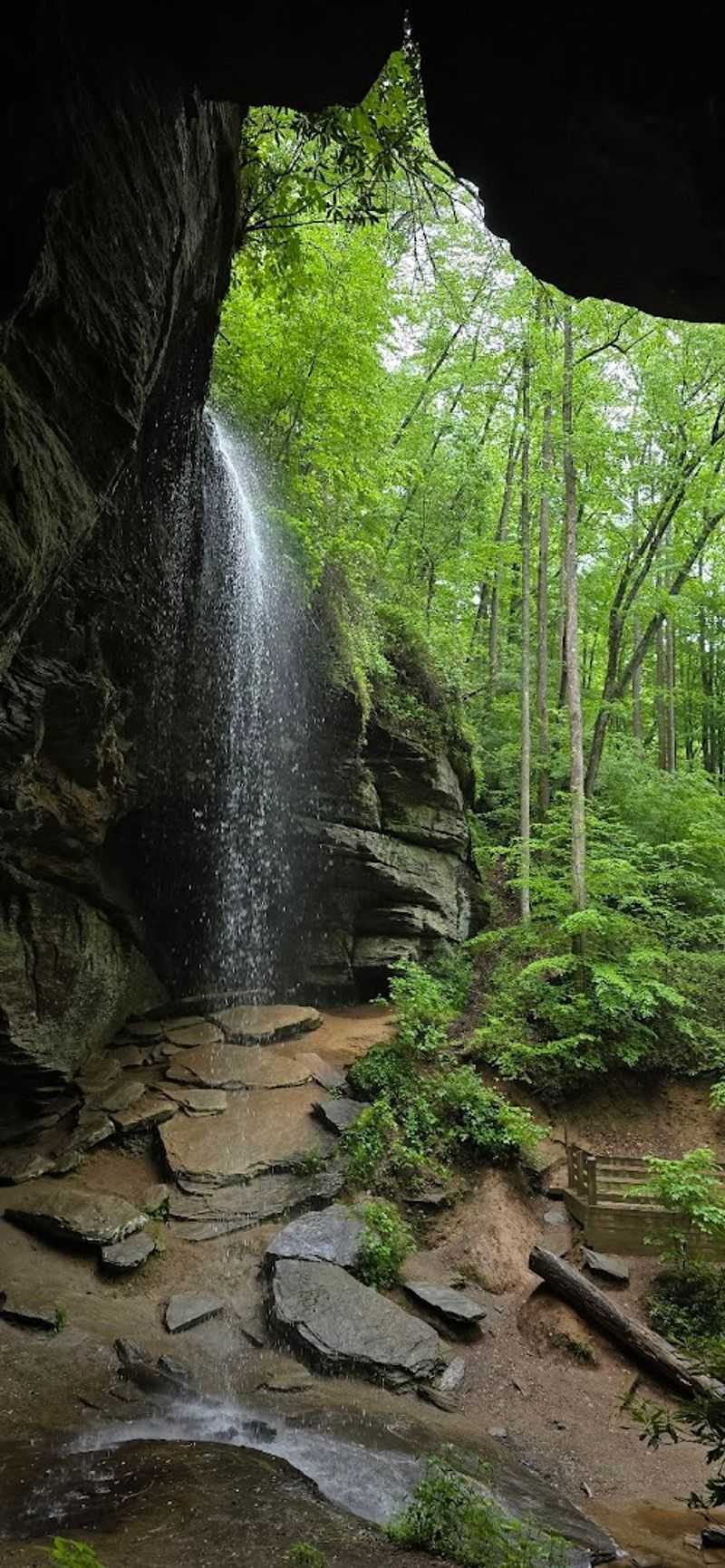 Moore Cove Falls