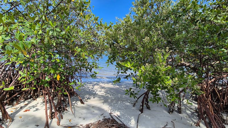 Hobe Sound National Wildlife Refuge