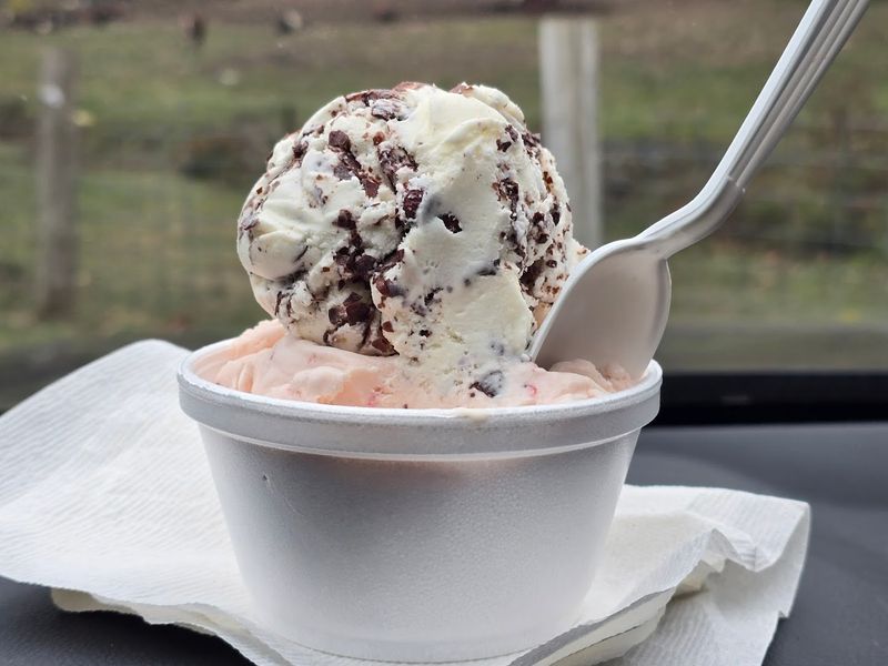 Rota Spring Ice Cream – Sterling
