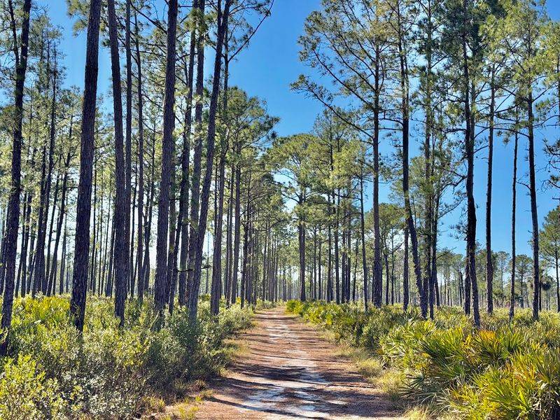 Hontoon Island State Park