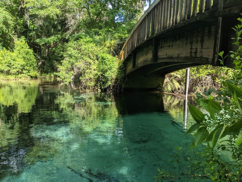Juniper Springs - Ocala National Forest