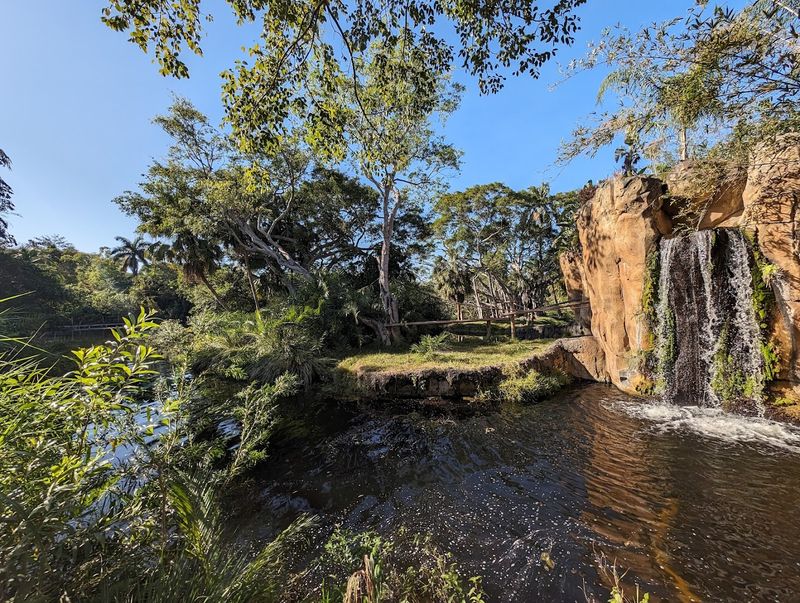 Palm Beach Zoo & Conservation Society Gardens