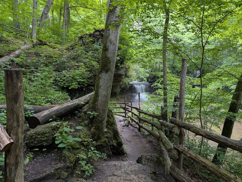 Trail Networks Wind Through Diverse Landscapes