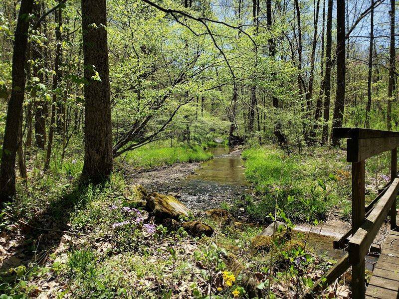 Marie J. Desonier State Nature Preserve Trails 