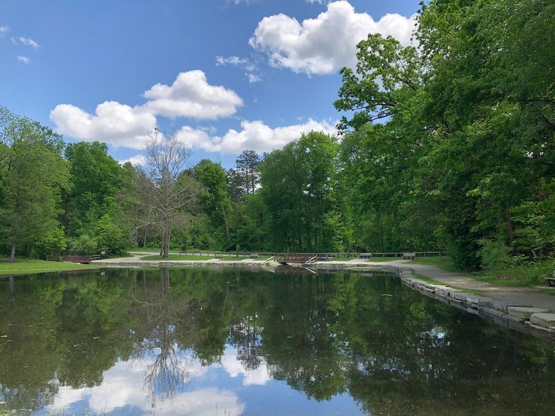 Oak Openings Preserve