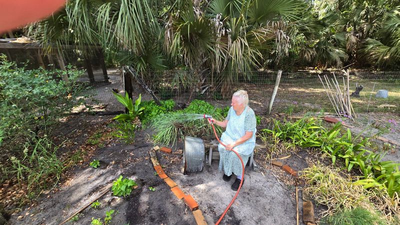 Lovingly Maintained Kitchen Garden Full Of Heritage Plants