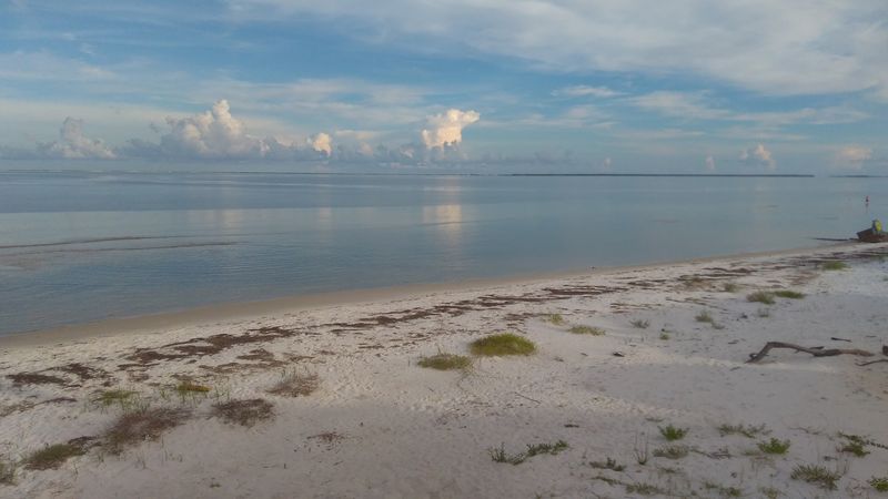 Florida Forgotten Coast