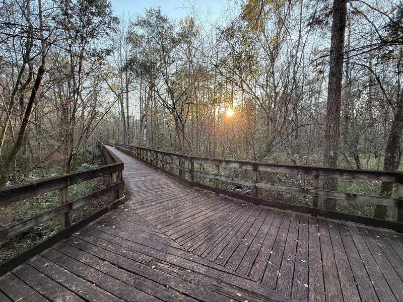 Reed Bingham State Park