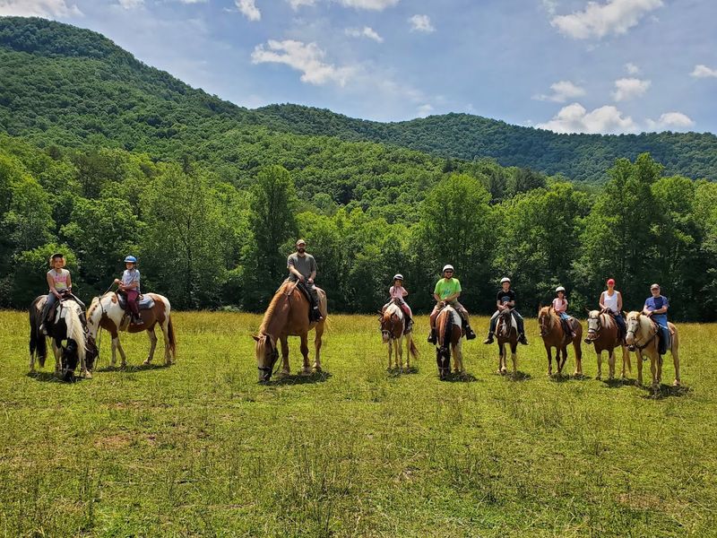 Trackrock Stables