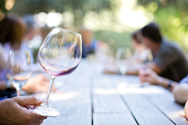 Yadkin Valley Wine Festival &mdash; Elkin