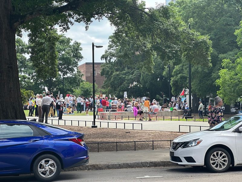 Raleigh Spring Festival (Raleigh)