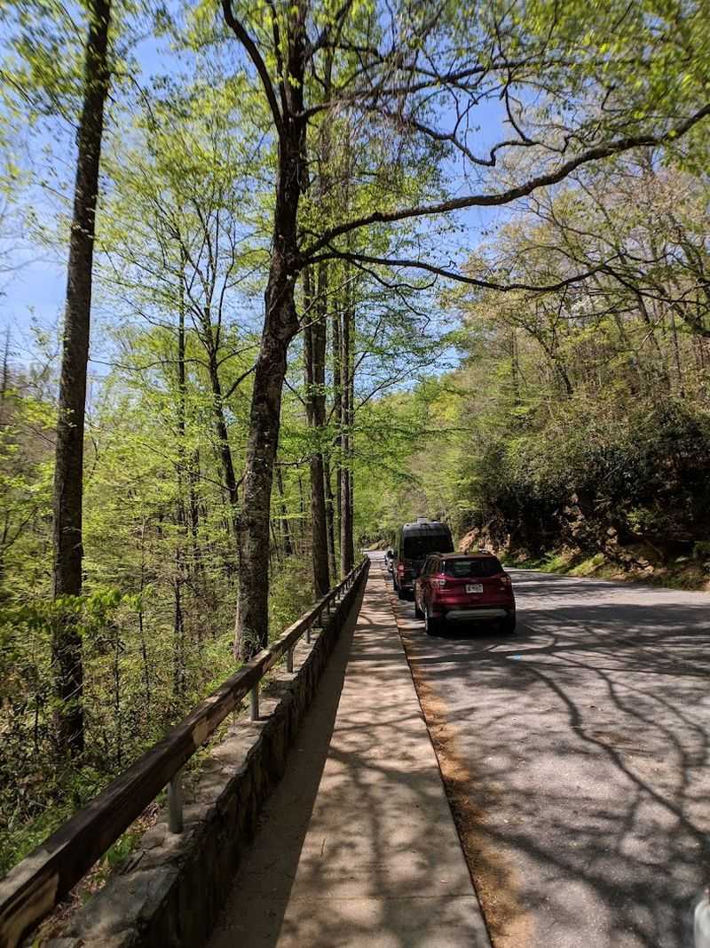 Forest Heritage Scenic Byway