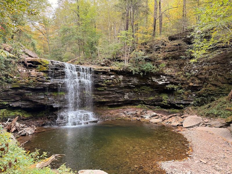 Ricketts Glen State Park (Falls Trail Natural Area)
