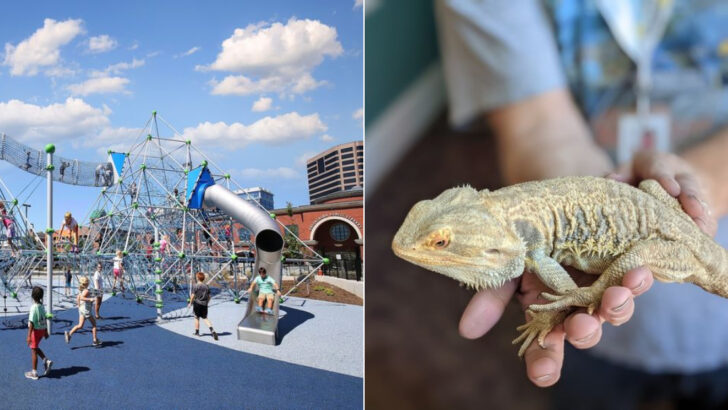 Children&rsquo;s Museums Across North Carolina So Good That Even the Adults Forget They&rsquo;re Supposed to Be Supervising