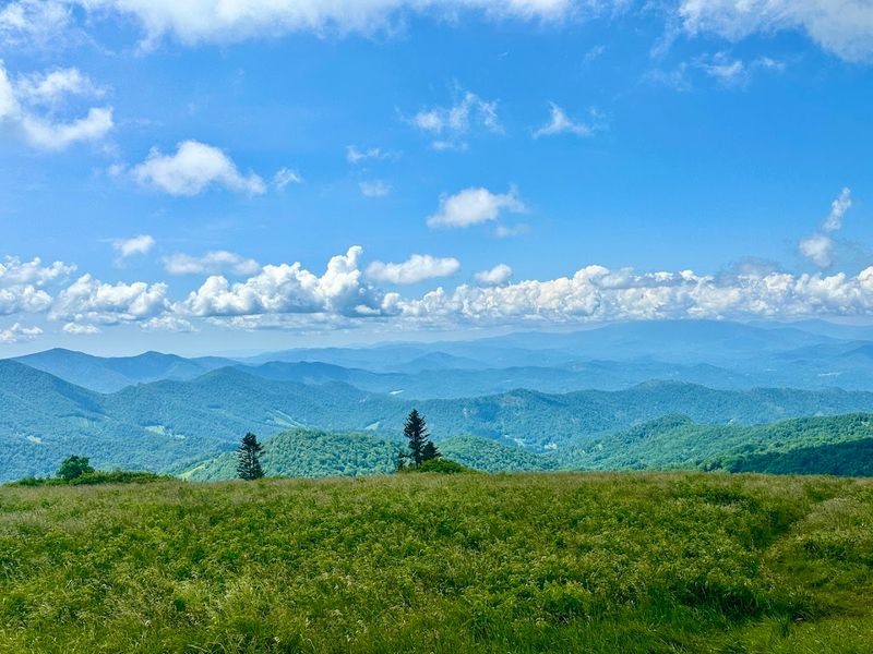 Roan Mountain at Carver's Gap