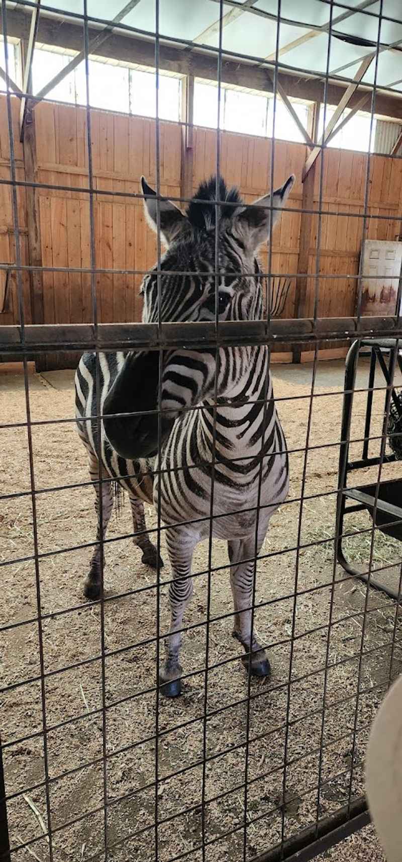 Safari Farm Petting Zoo & Sanctuary