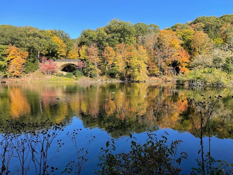 Mill Creek Gorge Trail