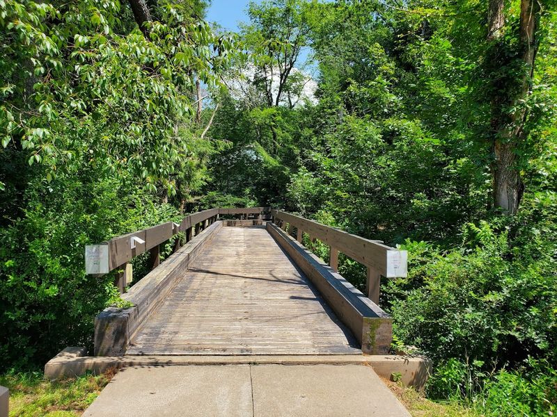Nescopeck State Park 