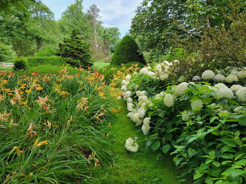 Schoepfle Garden