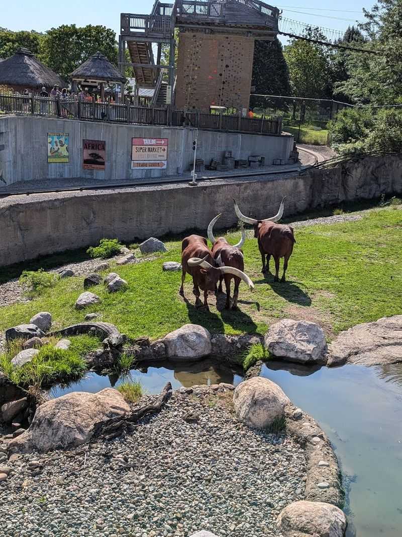 Toledo Zoo - Toledo, Ohio