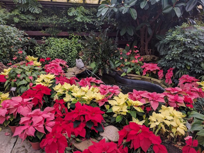 Cleveland Cultural Gardens
