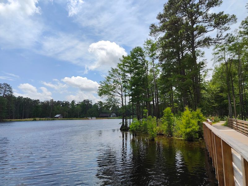 Carvers Creek State Park (Long Valley Farm Access)
