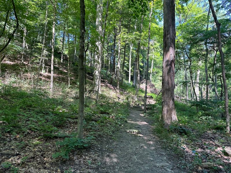 Lyons Falls Trail