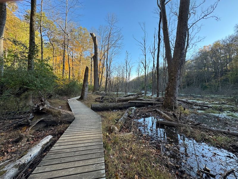 Glen Helen Loop Trail