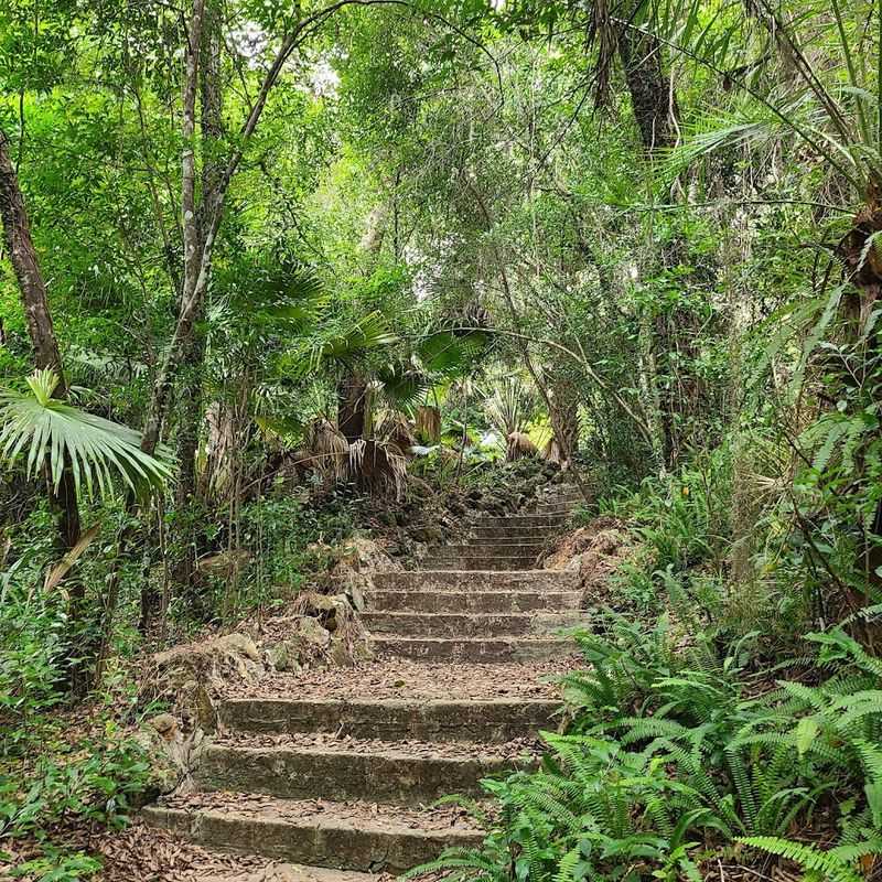 Hike Ravine Gardens State Park