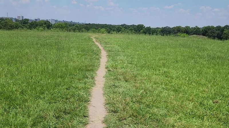 Follow The Trails Beyond The Main Mounds