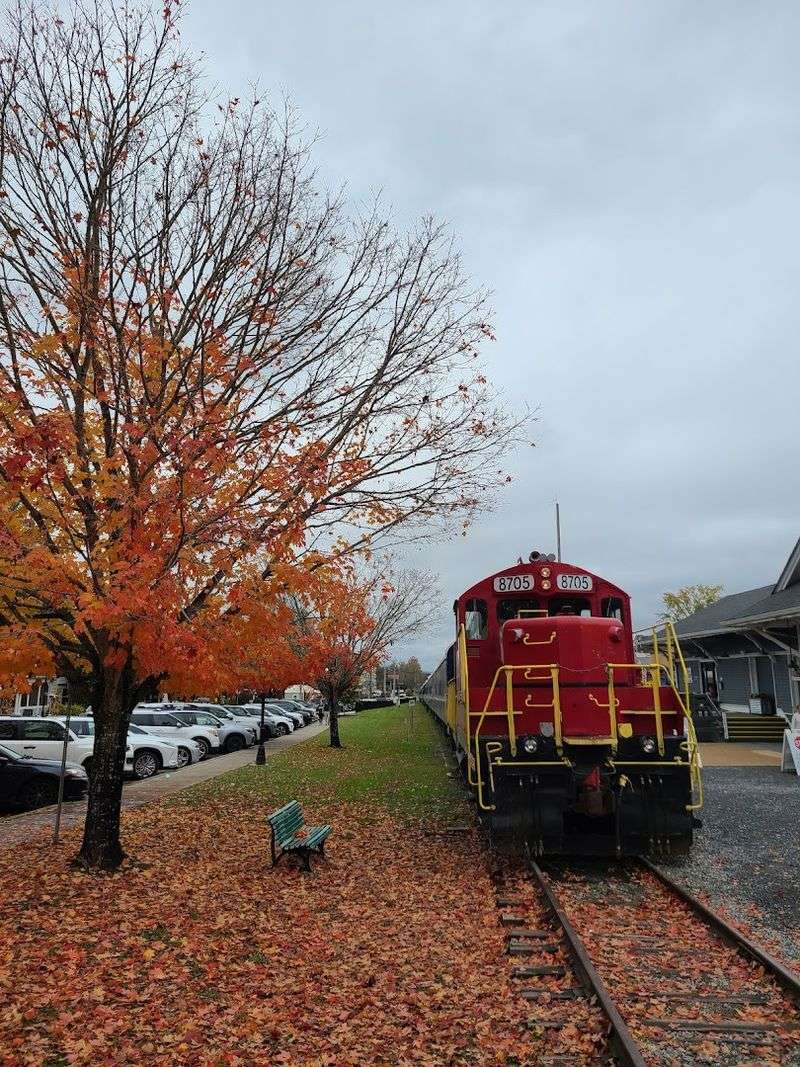 Fall Foliage Spectacle