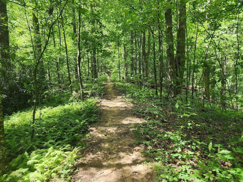 Black Rock Mountain State Park