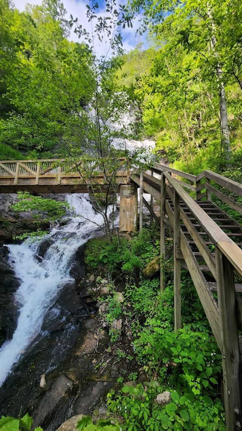 Amicalola Falls State Park